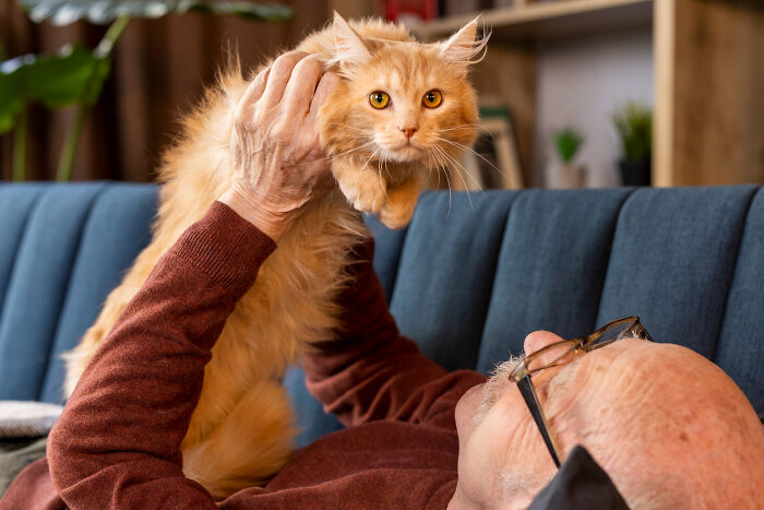 Elderly man holding an orange cat indoors modern world audacity