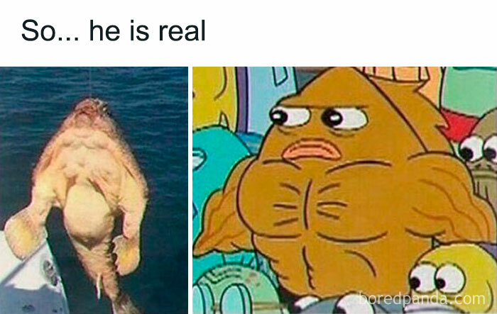 A meme comparing a real-life fish with a buff cartoon fish character, showcasing chaotic and unhinged pics.