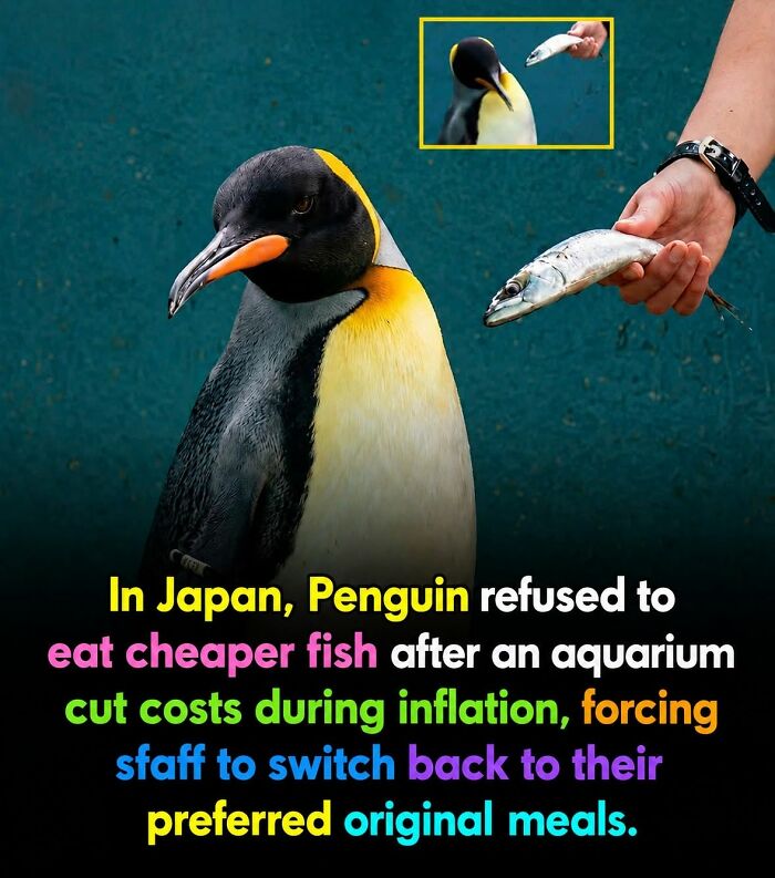 26 Animal Stories So Wholesome, They Might Just Be The Best Thing You See Today