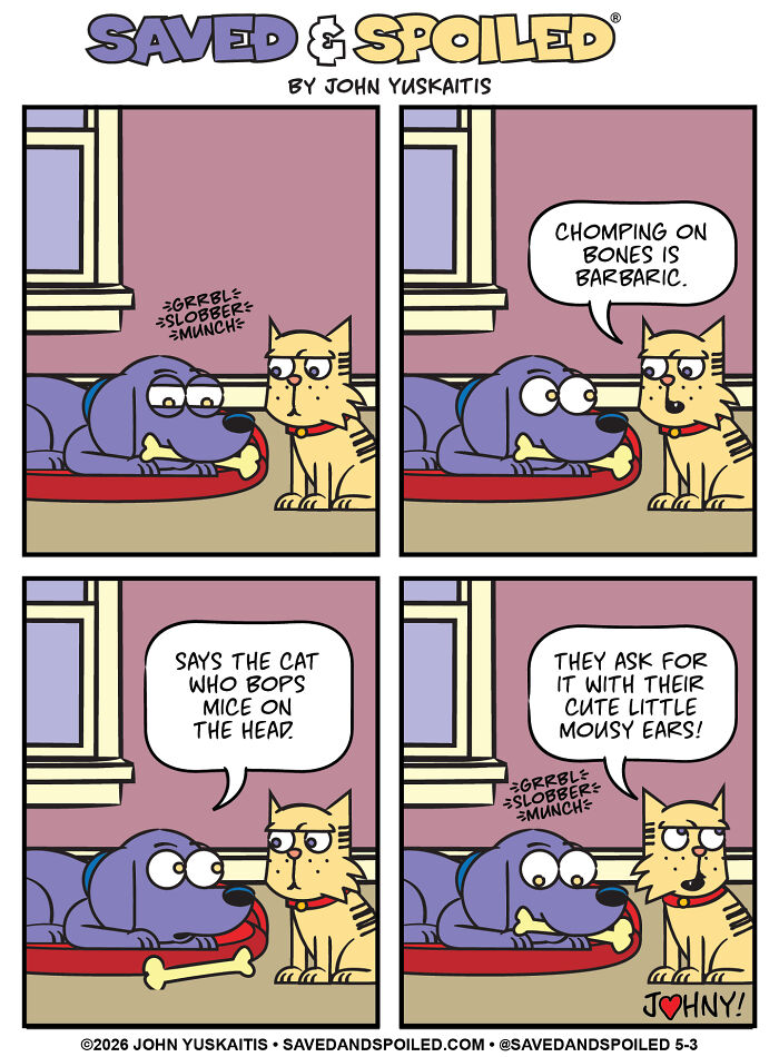 Cartoon dog and cat arguing about chewing bones in dog and cat comics