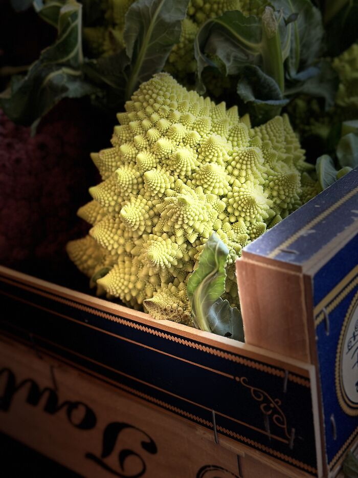 Jamie Oliver Youth Prize 12 And Under: Romanesco At Panzers By Ariel Owliaei, United Kingdom