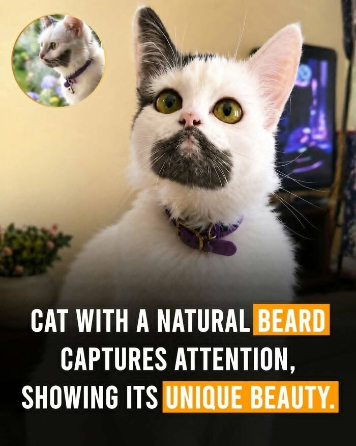 26 Animal Stories So Wholesome, They Might Just Be The Best Thing You See Today