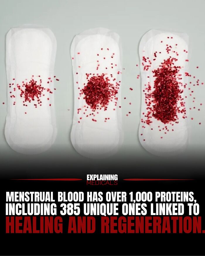 Menstrual pads with blood illustrating proteins linked to healing and regeneration