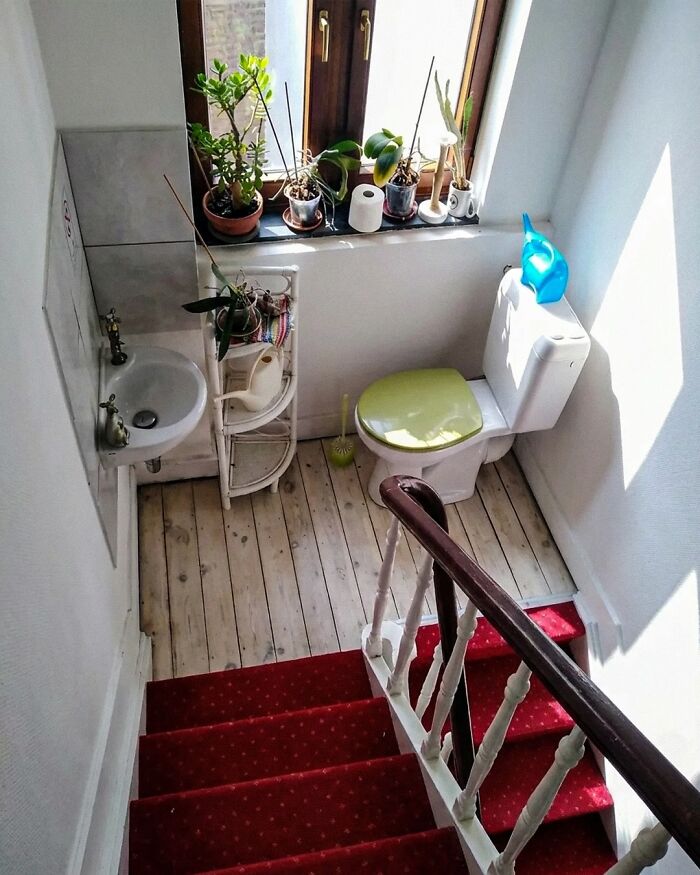 Toilet installed in hallway space with red carpet stairs leading down