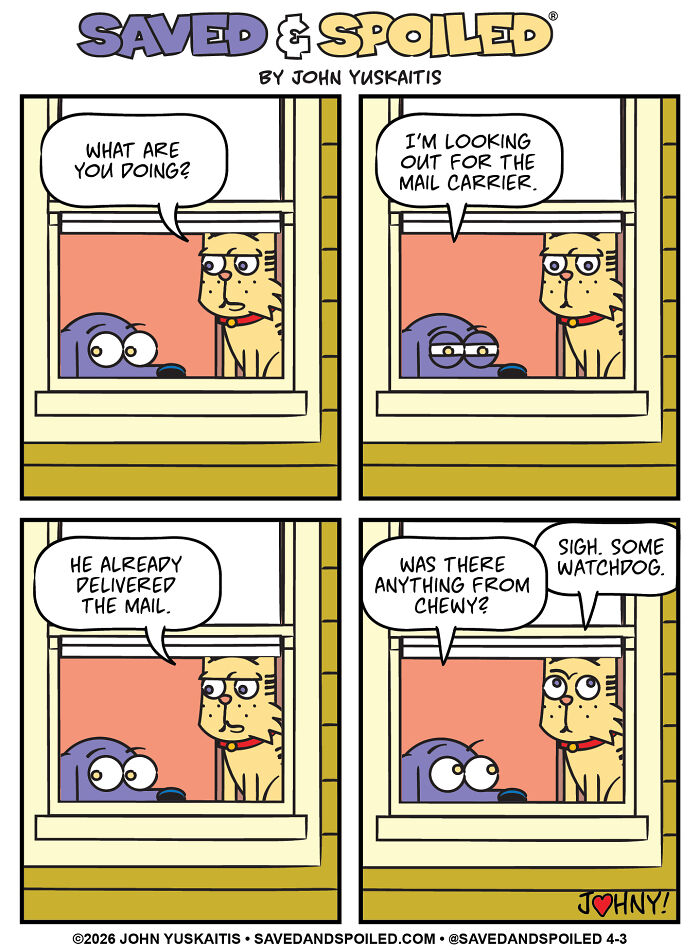 Cat and dog watch through window discussing mail in pet comic strip