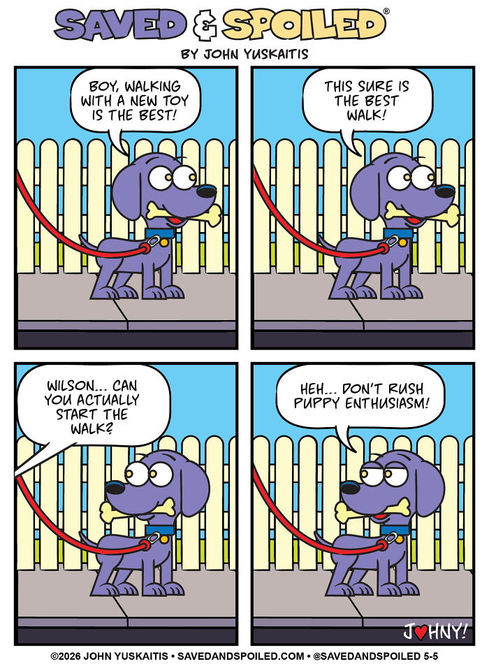 Comic of dog excited about walking with a new toy showing dog and cat humor
