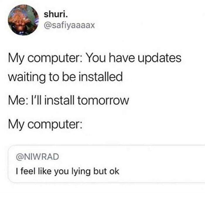 Tweet about postponing computer updates and computer doubting it meme