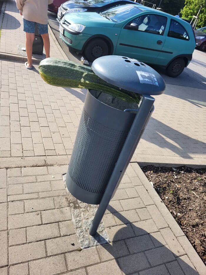 A bizarrely oversized zucchini inexplicably balanced on a trash can, raising questions.