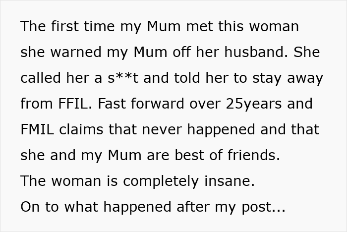 Text outlining how the Woman's Drunken Tantrum over a honeymoon trip with her son started, entertaining the hotel.