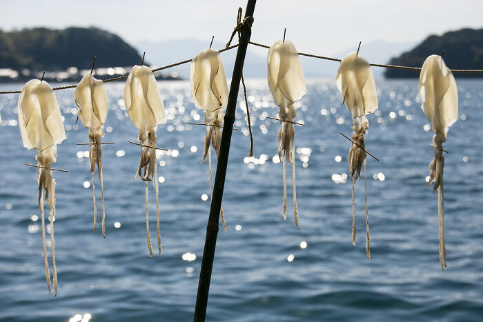 Cream Of The Crop: Ine Fishing Village, Kyoto, Japan By Albert Gonzalez, Spain