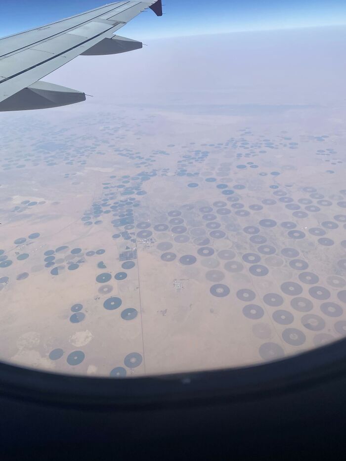 Aerial view from airplane showing circular irrigation fields in agricultural science