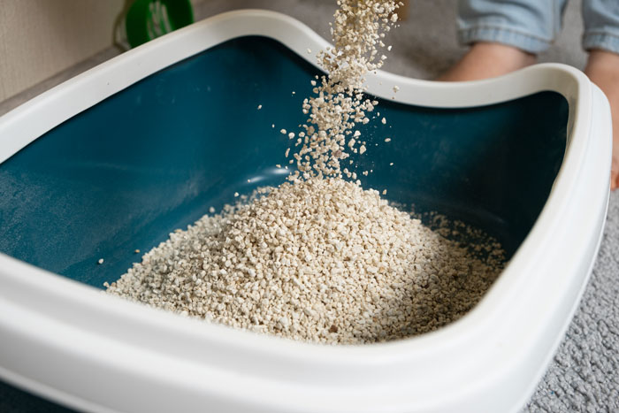 Person pouring cat litter in box with messy behavior in relationships