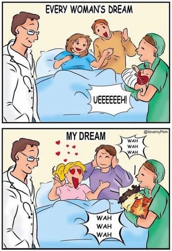 These Hilarious Comics Perfectly Capture What Life Is Like When You’re Obsessed With Pomeranians (40 New Comics)