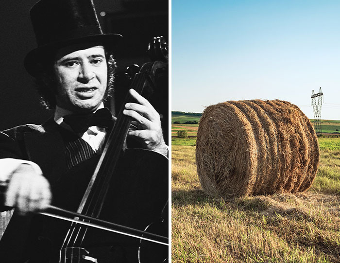 Image of a cellist in a top hat and a hay bale in a field, hinting at bizarre accidents and the loss of innocent people.