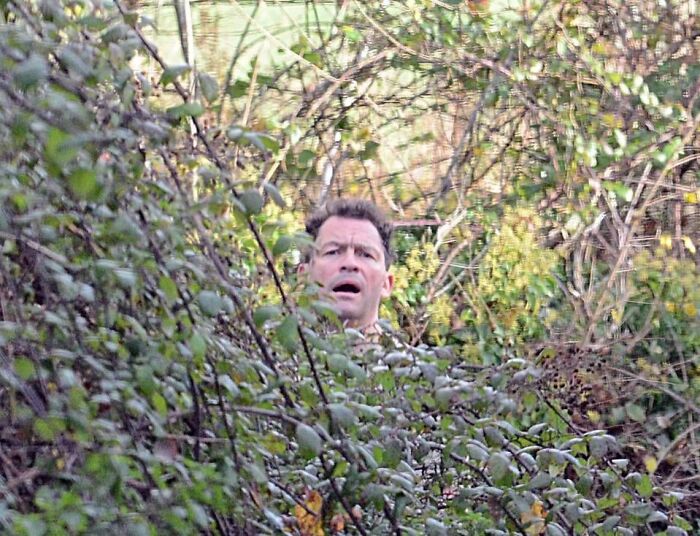 Dominic West peeking through bushes, a moment from a celebrity scandal.