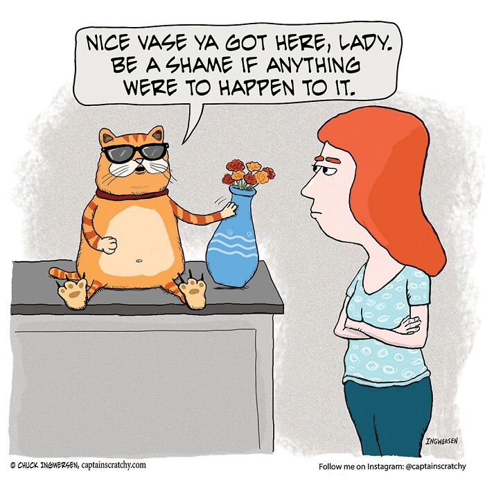 A comic by Captain Scratchy featuring a funny animal, a cat wearing sunglasses, threatening a woman.