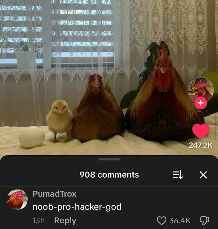 Funny-No-Context-Memes