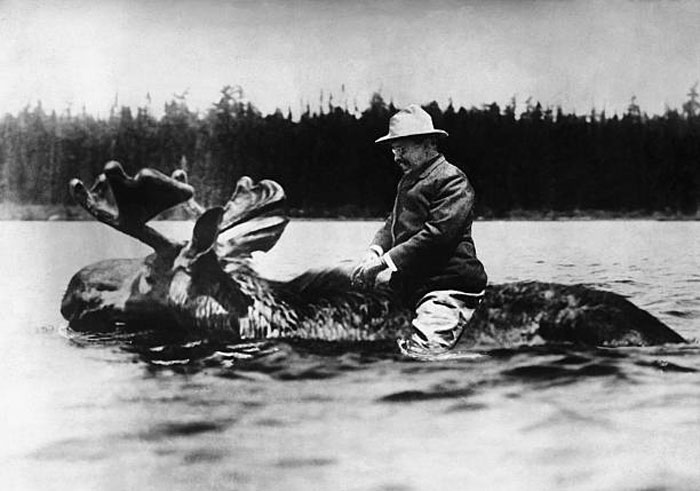 Historic world leader interacting with a moose in water outdoors