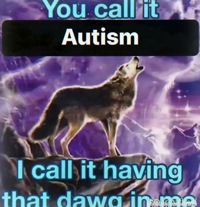 A wolf howling on a mountain with purple sky. Text overlays create a chaotic and unhinged pic about autism.