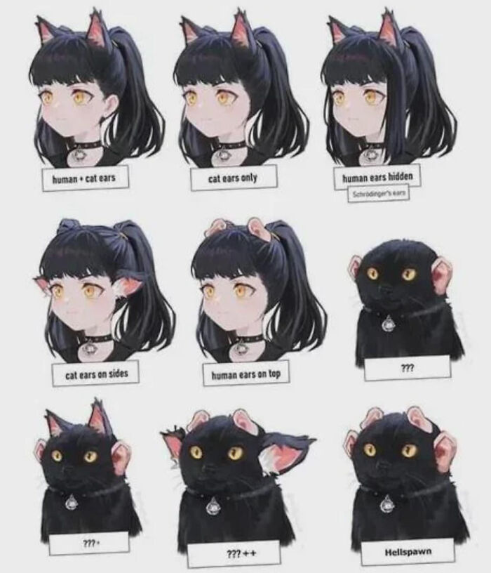 A blursed meme illustrating various cat ear and human ear combinations, for blursed amusement.