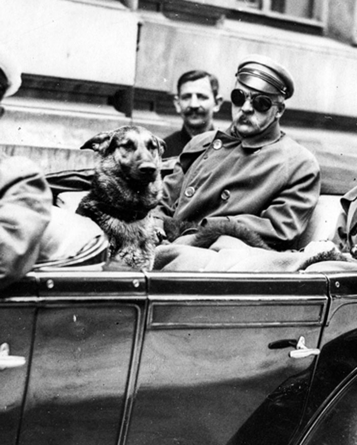 World leader riding in car with dog showing a warm wholesome moment