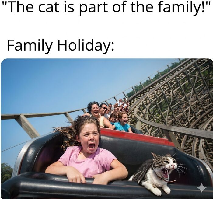 This Instagram Page With Millions Of Followers Shares Some Of The Most Relatable Cat Memes On The Internet (38 Pics)