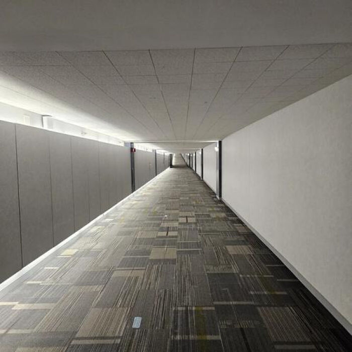 A long, deserted hallway with patterned carpet and closed doors, evoking a haunting liminal space.
