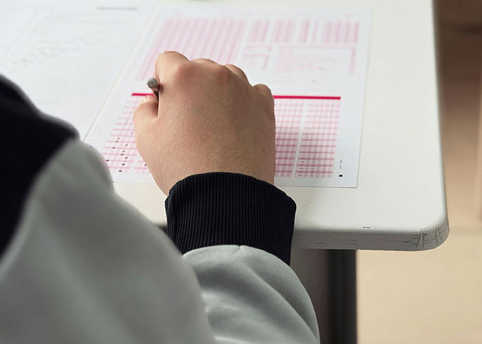 Person filling out bubble test with pencil at desk, wild secrets concept