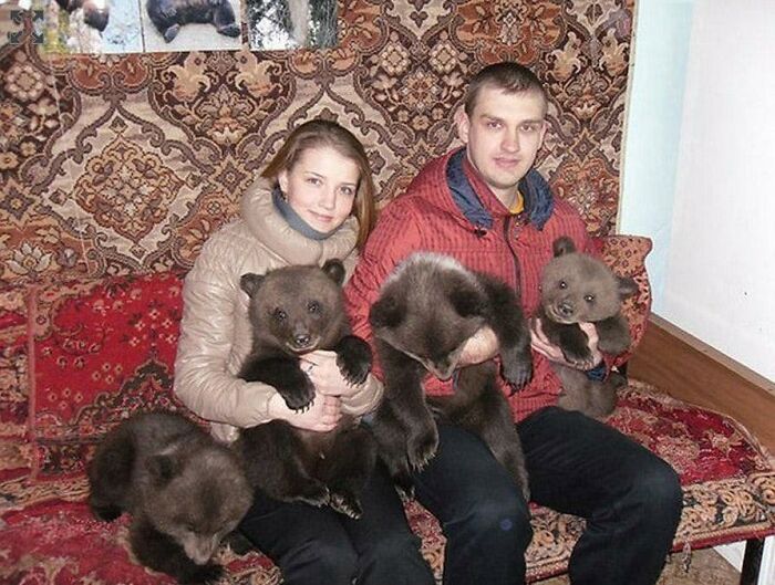 Couple holding multiple bear cubs on a couch with patterned carpet cursed images