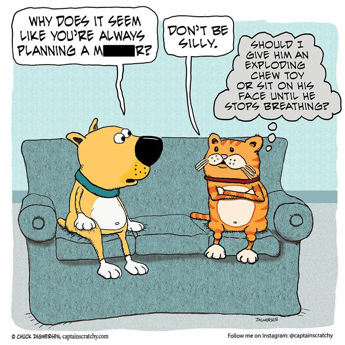 Captain Scratchy comic features funny animals: a dog and cat on a couch, the cat contemplating violence.