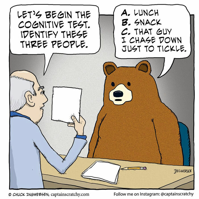 Captain Scratchy comics: A man administers a cognitive test to a bear, a funny animal in a humorous comic.