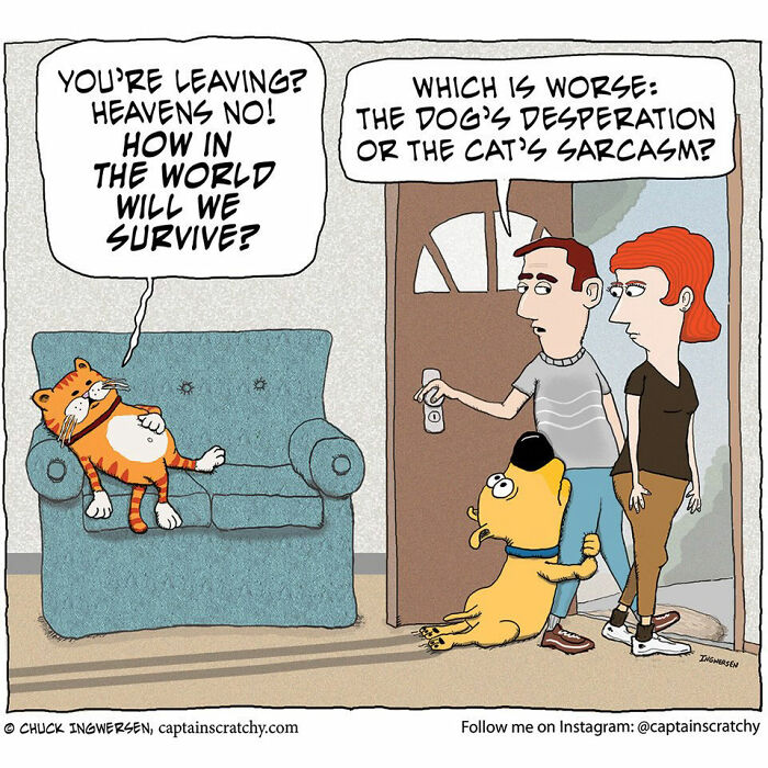 Captain Scratchy comics: An orange cat sarcastically bids goodbye to owners while a dog desperately blocks their exit, funny animals.