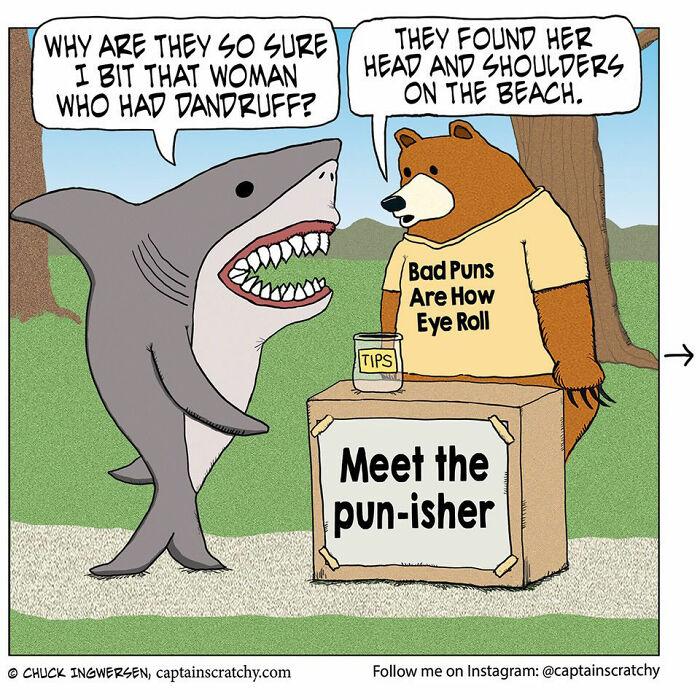 Captain Scratchy comic featuring funny animals, a shark and a pun-making bear, with a dandruff joke.