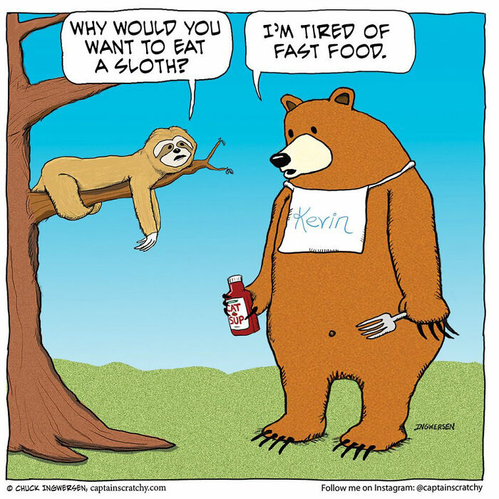 Captain Scratchy comic featuring funny animals, a sloth in a tree and a bear, sharing a pun about fast food.