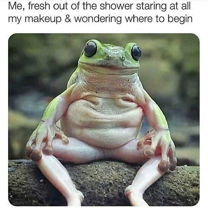 Funny meme of a frog confused about where to start makeup after shower