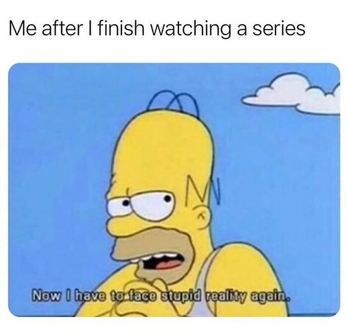 Homer Simpson meme about finishing a series and facing reality again from random memes collection