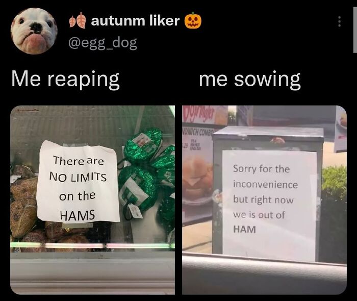 A funny meme showing signs about ham availability: one says 'NO LIMITS on the HAMS' and the other 'out of HAM.'