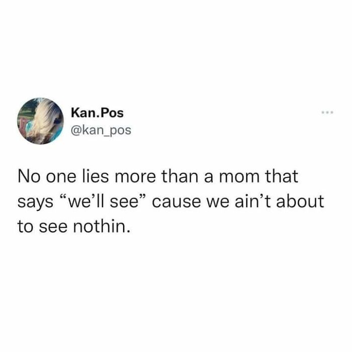 A meme with text: No one lies more than a mom that says we'll see cause we ain't about to see nothin.