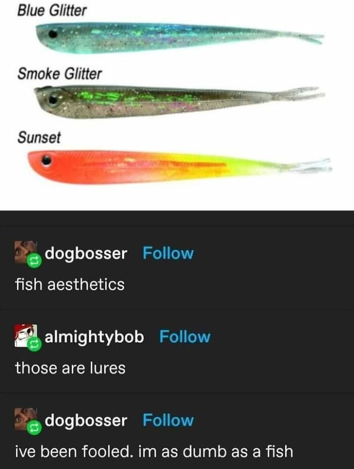 A meme showing fish lures mistaken for fish, with text about being fooled. Send your friends this meme.