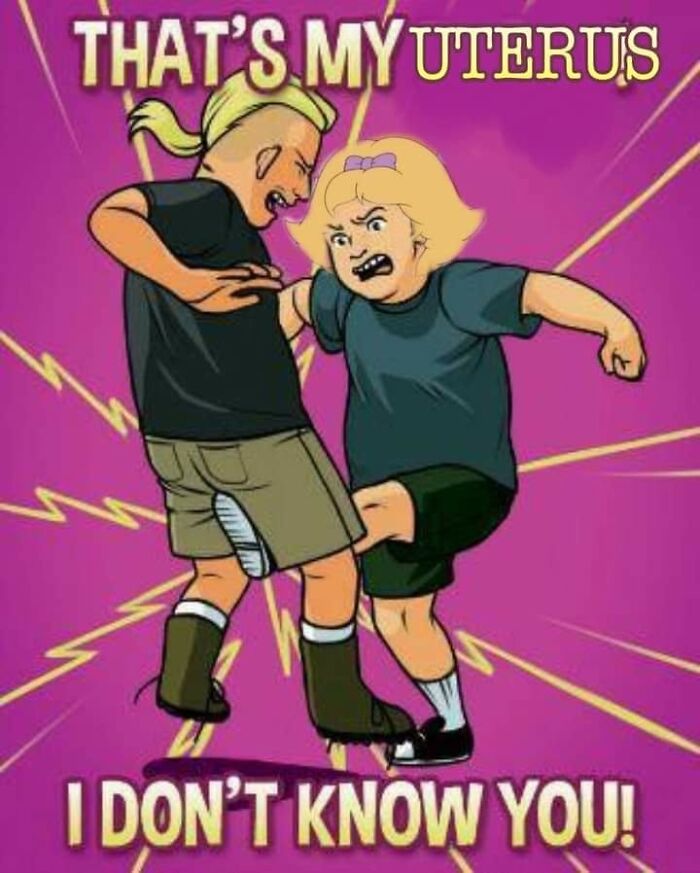 Cartoon girl kicking boy with caption about uterus meme