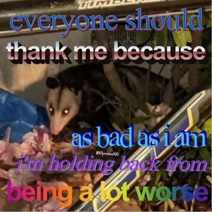 A meme of an opossum in foliage with glowing eyes and text about holding back from being worse. Send to friends.