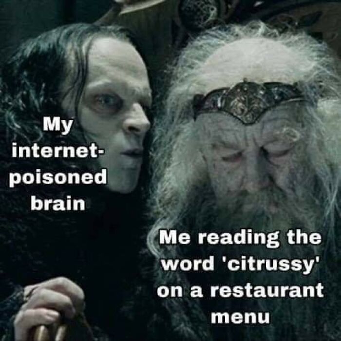 A meme depicting two characters from Lord of the Rings, representing an internet-poisoned brain.