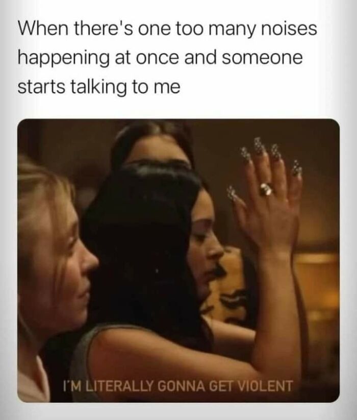 A meme of a woman with long fingernails looking annoyed, with text about too many noises and someone talking.