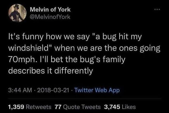 Tweet about bug hitting windshield meme