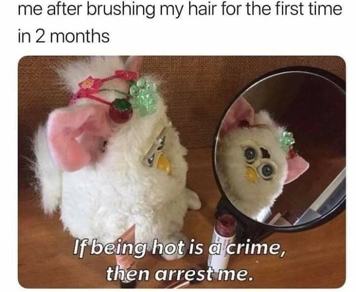 A meme with a messy Furby looking in a mirror with the caption If being hot is a crime, then arrest me.