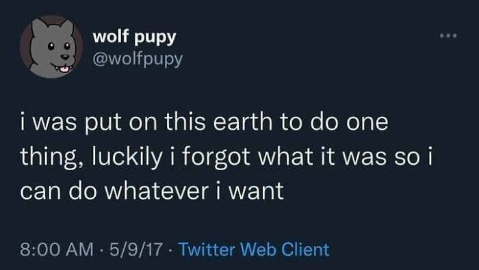 Humorous tweet meme about forgetting life's purpose, a funny meme to send your friends.
