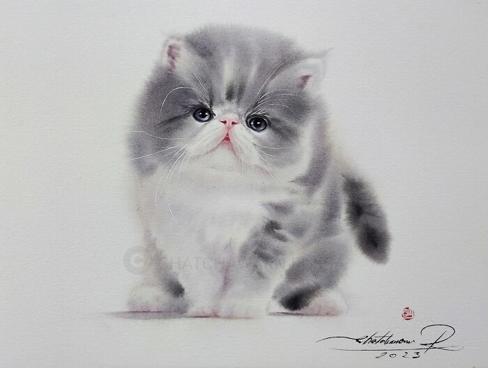 Cat Paintings
