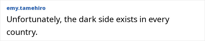 A comment stating that the dark side of Japan, like other countries, unfortunately exists.