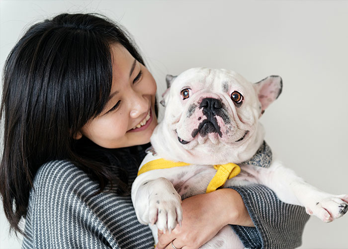 Woman hugging a quiet bulldog breed dog indoors