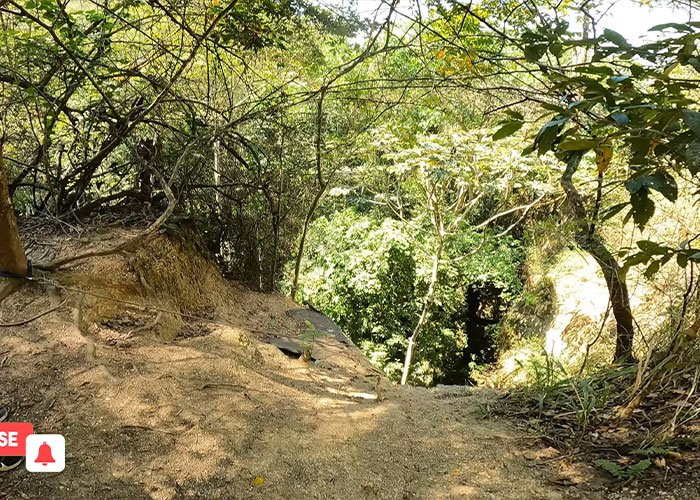 Forest trail near cliff edge in Brazil hiking accident location Forest trail near cliff edge in Brazil hiking accident location
